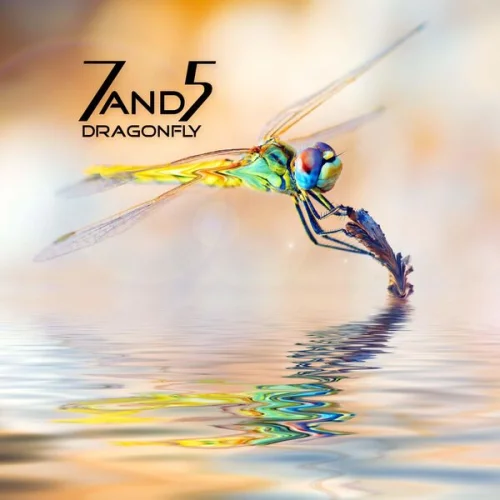 7and5 - Dragonfly (2022)
