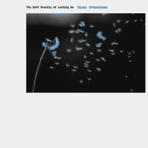 Diane Arkenstone - The Soft Gravity of Letting Go (2026)