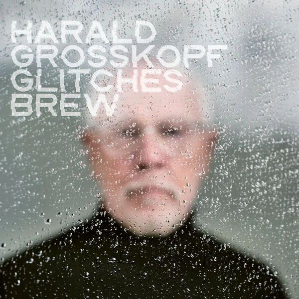 Harald Grosskopf - Glitches Brew (2026)