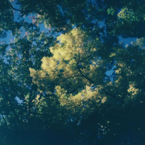 Zake, marine eyes - Still Beauty (2026)