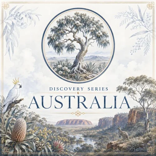 BluetreeAudio - Discovery Series (Australia) (2026)