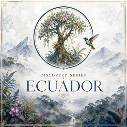 BluetreeAudio - Discovery Series (Ecuador) (2026)