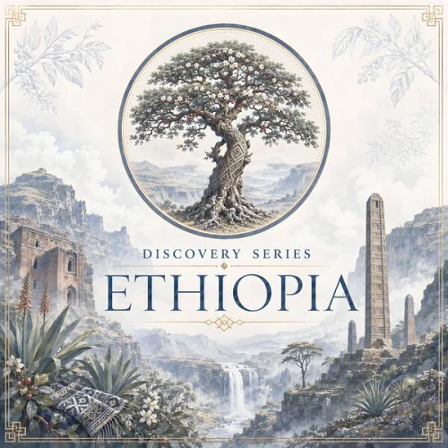 BluetreeAudio - Discovery Series (Ethiopia) (2026)