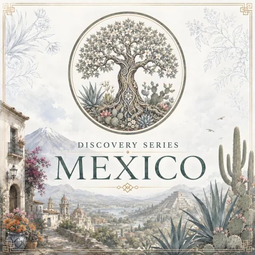 BluetreeAudio - Discovery Series (Mexico) (2026)