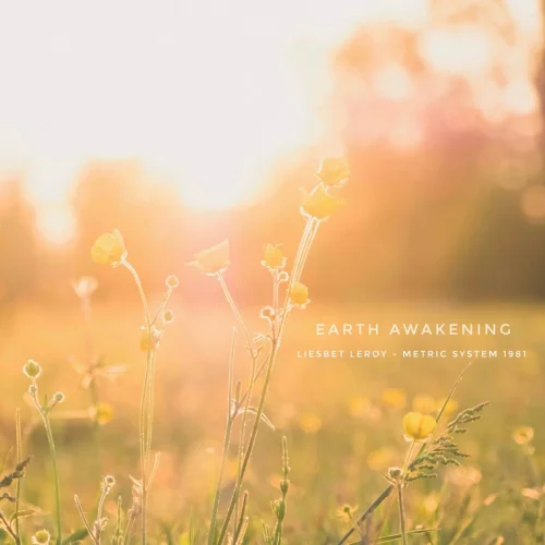 Liesbet Leroy, Metric System 1981 - Earth Awakening (2026)